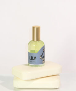 Lily