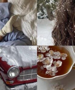 Winter morning